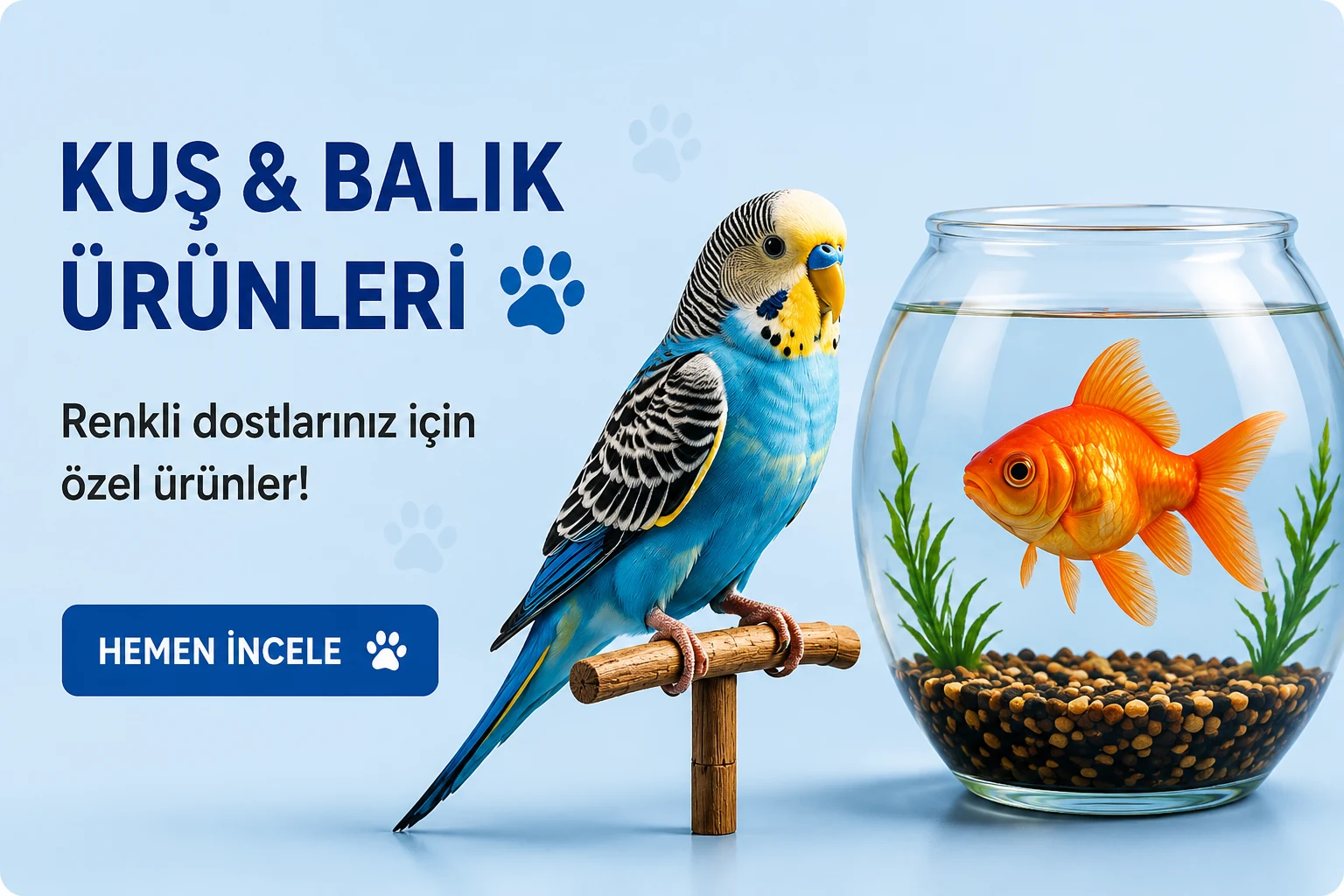 Kuş & Balık